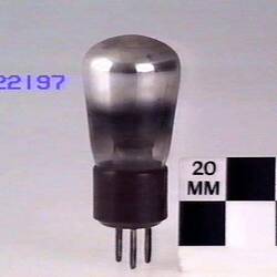 Vacuum Tube