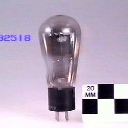 Electronic Valve - RCA, Triode, Type 45, circa 1931