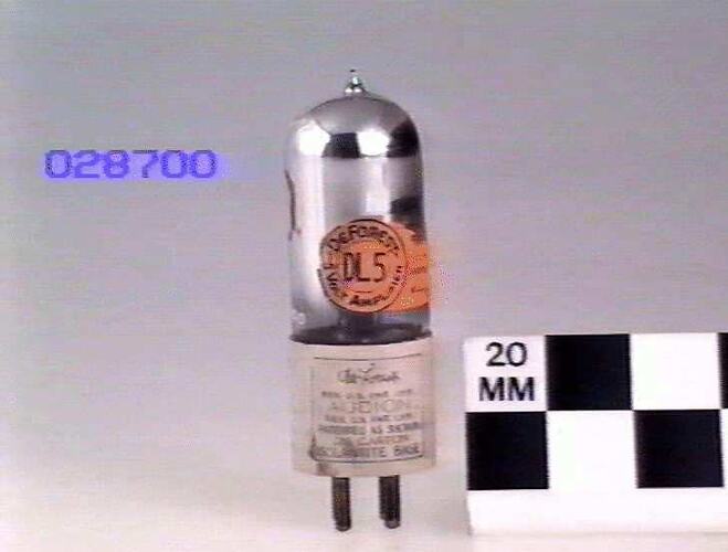 Electronic Valve - De Forest Audion, Triode, Type DL5, circa 1926