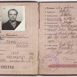 Identity Card - Sandor Tokai (Hungarian Citizenship)