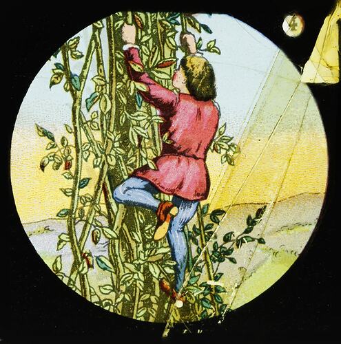 Lantern Slide - 'Jack and the Beanstalk', Number Four, 1900-1920