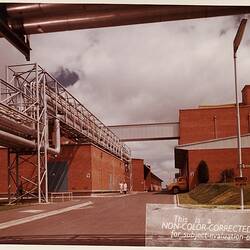 Photograph - Kodak Australasia Pty Ltd, View Along Road Servicing Building 7, Testing,  Building 3, Emulsion Coating & Building 2, Emulsion Making at the Kodak Factory, Coburg, 1964