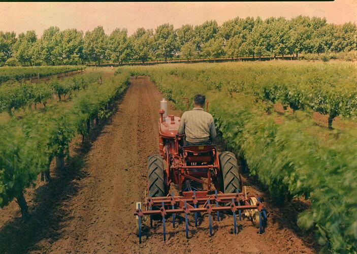 Farmall A, Nyah West