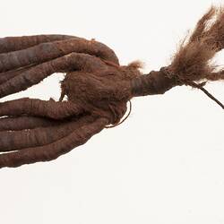 Neck ornament, Australia, Gulf
