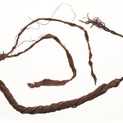 Neck ornament, Australia, Gulf