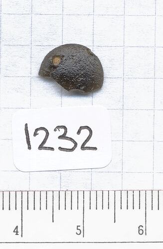 Flat disk-shaped tektite.