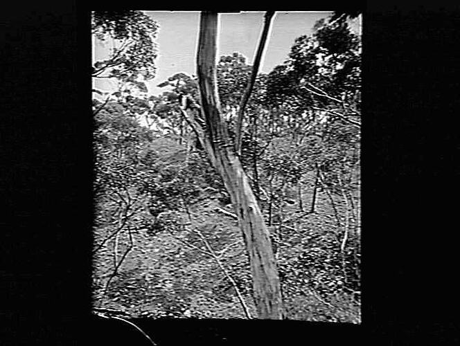 Negative - Glass