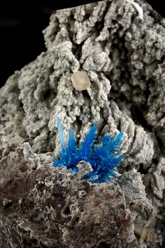 Pentagonite. [M 51744]