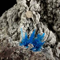 Pentagonite. [M 51744]