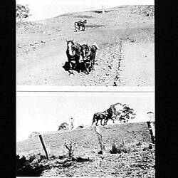 Negative - Dam Construction, Hill End, Gippsland, Victoria, circa 1930