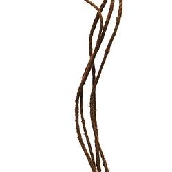 Ornament, neck, Australia, North