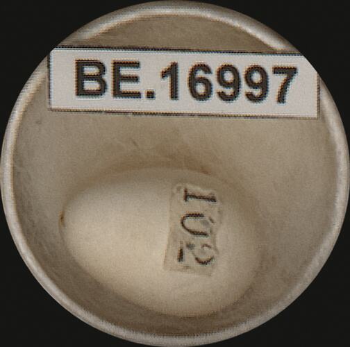 Bird egg with specimen label in round box.