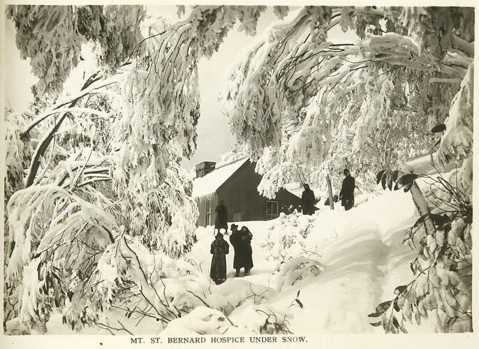 [Arriving at the Mount Saint Bernard Hospice, near Mount Hotham, where travellers stayed on their journey from Bright to Omeo, about 1905.]