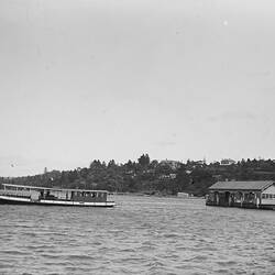 Ferry in Sydney Harbour, circa 1890