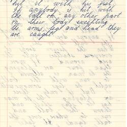 Handwritten game description in blue ink on lined paper