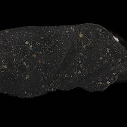 Murchison Meteorite. [E 12378]
