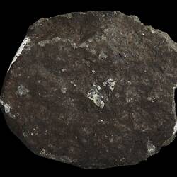 Allende Meteorite. [E 11091]
