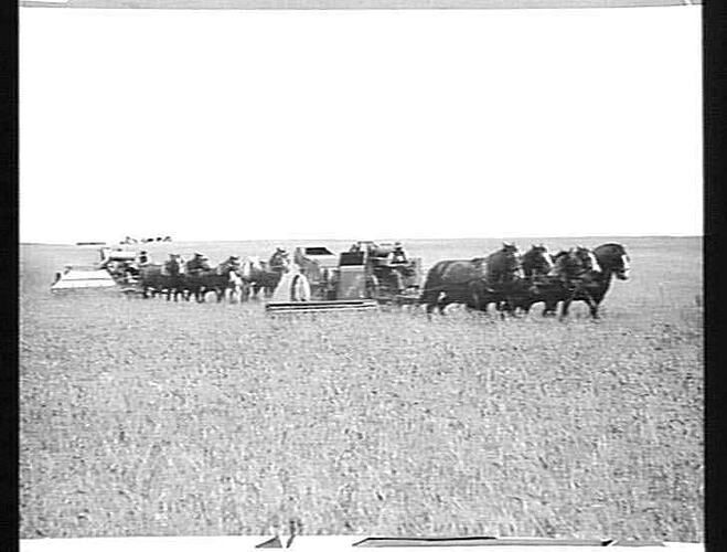 JAN 1924: MR. C.W. LACKMAN'S, MURRAYVILLE