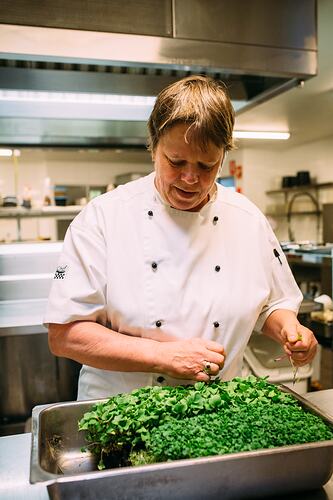 Chef picking from tray of microgreens in kitchen.