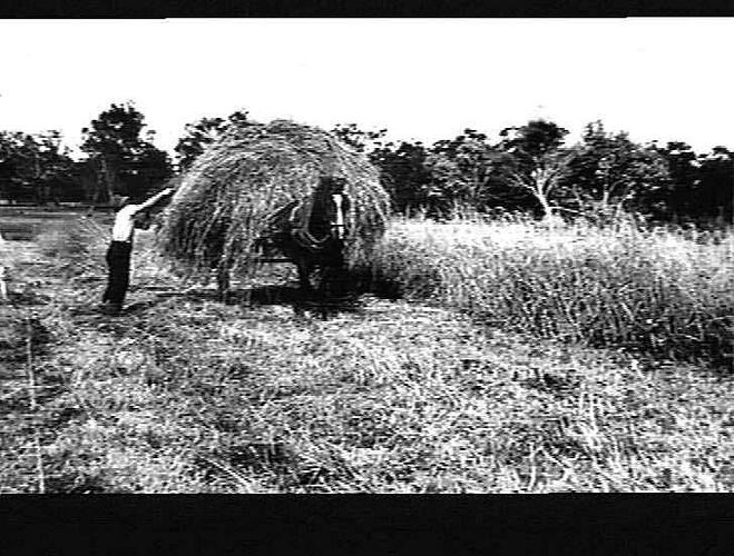`WARREN FARMER' PLANT AT WORK ON MR. E.H. DELLA'S FARM, STH WANNEROO, WESTERN AUSTRALIA: 1937