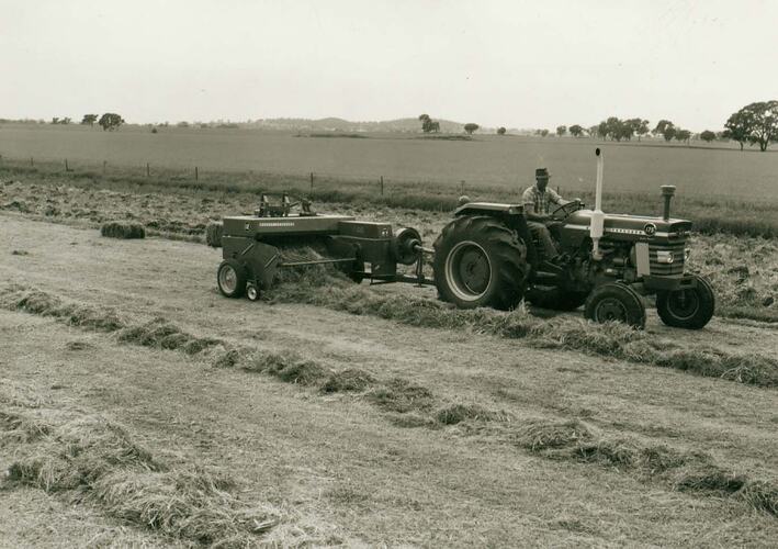 Man driving a tractor pulling a pickup baler in a field of windrown hay.