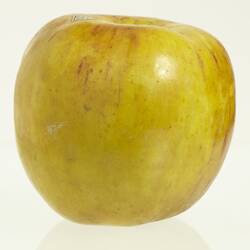 Wax apple model painted yellow with red flecks.