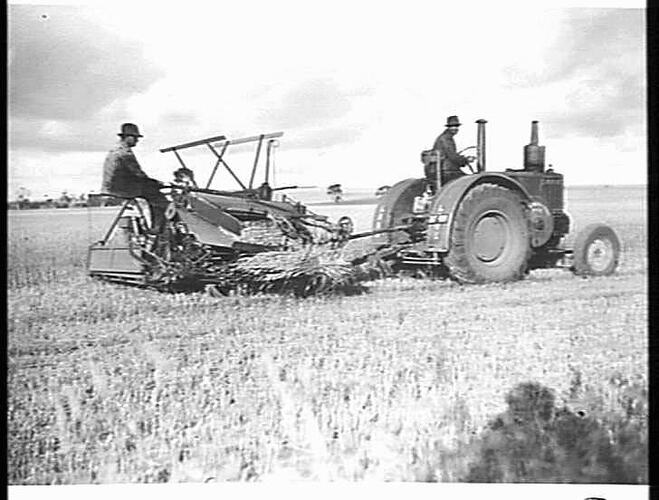 8 FT 6B BINDER IN WHEAT ON H. JOHNSTONE'S, BALLIANG: NOV 1943