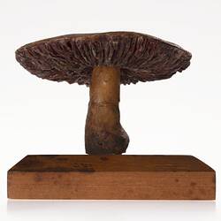 Model of a brown mushroom on a wooden base.