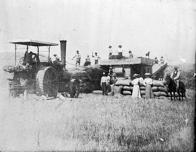 [A thresher team, Denison, Gippsland, about 1900. The thresher is powered by a steam tractor.]