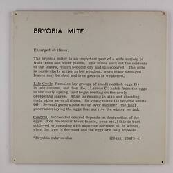 Exhibition Label - Bryobia Mite, Industrial & Technological Museum, Melbourne, circa 1940