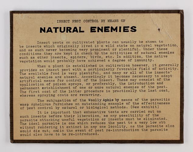 Cream rectangular label with black text and brown border.