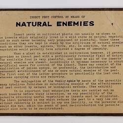 Cream rectangular label with black text and brown border.