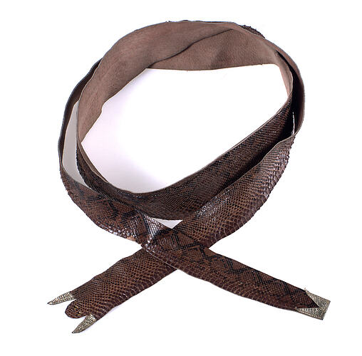 Brown snakeskin belt.