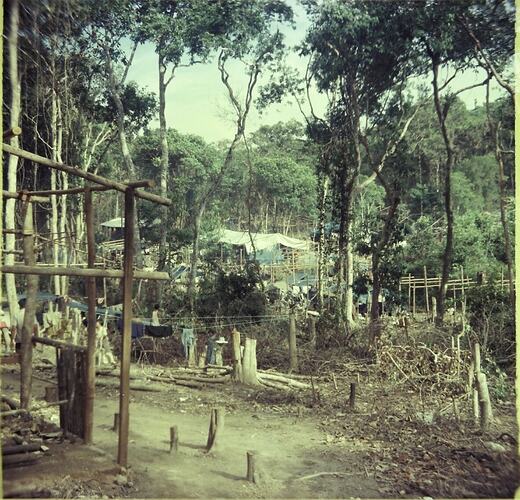 Landscape of the Vietnamese Refugee Camp, full of trees and shrubs.