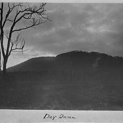 Photograph - Day Dawn, by A.J. Campbell, Dandenong Ranges, Victoria, circa 1890