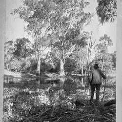 Photograph - by A.J. Campbell, Echuca District, Victoria, circa 1900