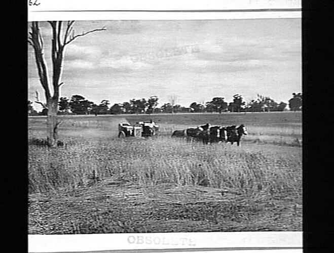 Photograph - H. V. McKay factory and/or equipment