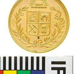 Medal - Port Phillip, Die