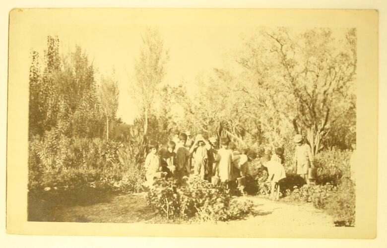 Group of children standing in a garden.