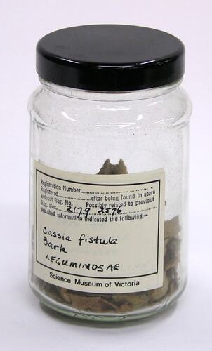 Cassia Fistula (Leguminosae) Bark