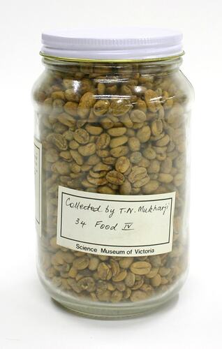 Seeds - Coffee Arabica