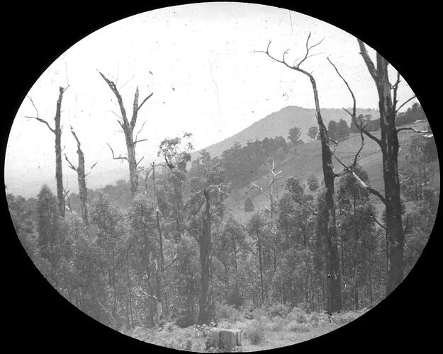 Lantern Slide - A J Campbell Collection