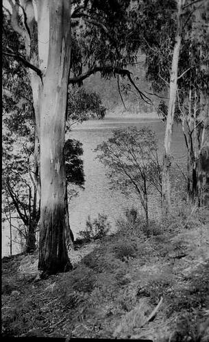 Lantern Slide - Lake Tali Karng, Gippsland, Victoria, Date Unknown. [BA 1951]