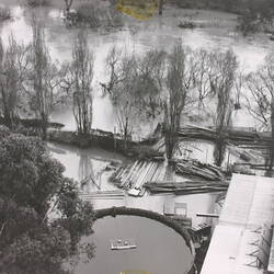 Photograph - Yarra River in Flood, Tank and Timber at Kodak Factory, Abbotsford, 1954