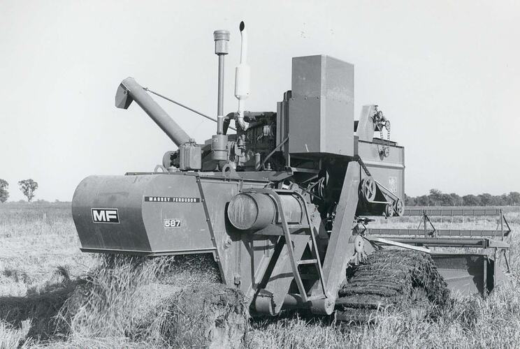 An auto header harvester fitted with rice crawler tracks in rice field.