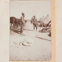 Photograph - 'Horse Lines', Maadi, Egypt, Trooper G.S. Millar, World War I, 1914-1915