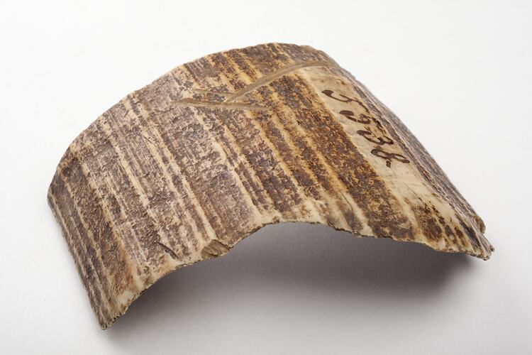 Ivory - Piece, circa 1970s