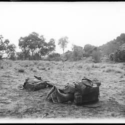 Glass plate. George Gill Range, Central Australia, Northern Territory, Australia. /05/1894 - /08/1894