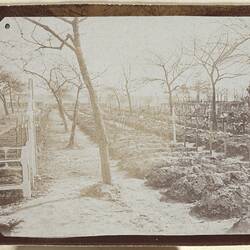 Photograph - Cemetery, Somme, France, Sergeant John Lord, World War I, 1917