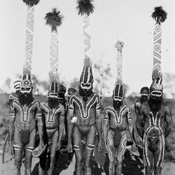 Glass plate. Arrernte. Charlotte Waters, Desert East, Northern Territory, Australia. 1895